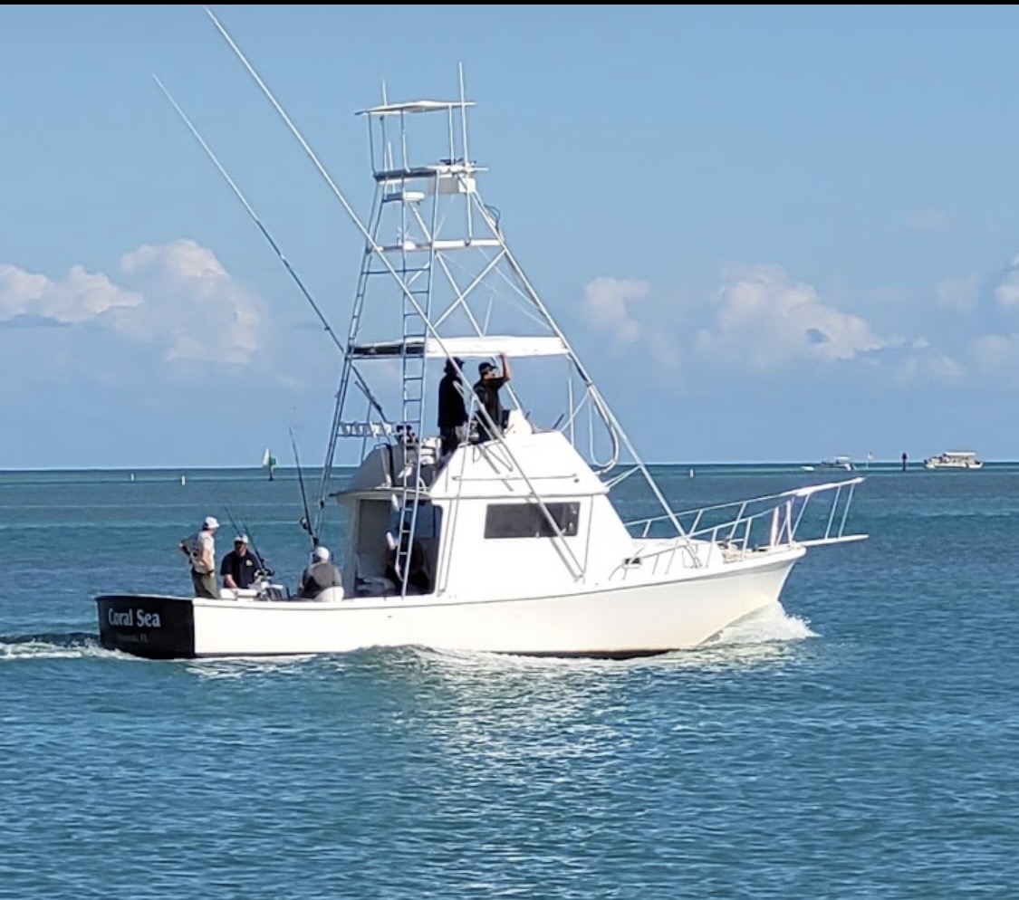 Coral Sea Charters fishing charter photo